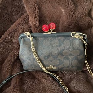 Small coach bag, carried a few times. Like new